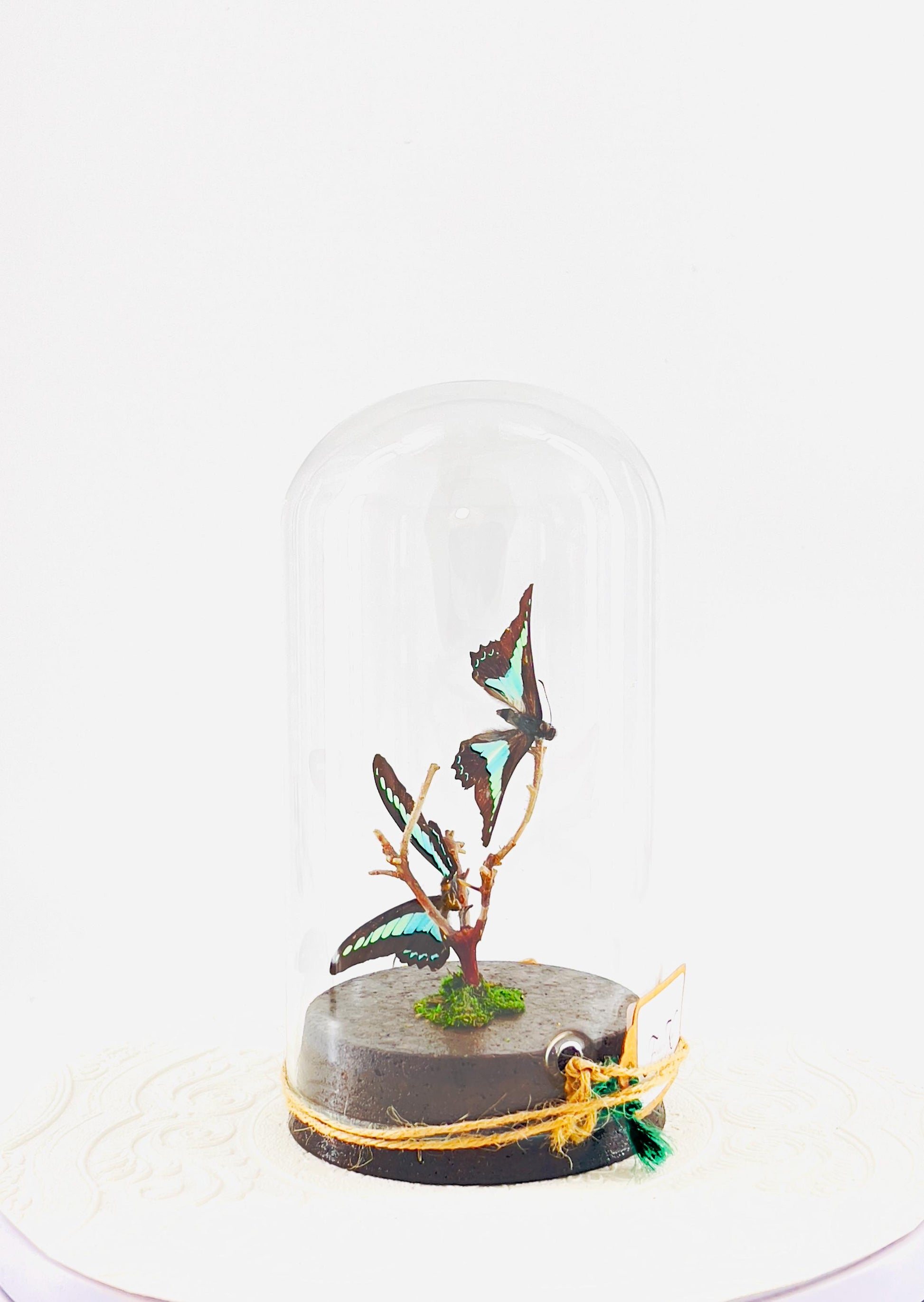 Large Pendant | Blue Triangle | Light Blue | Flutter by Katie | Handmade Butterfly Sculpture Art | Home Decor | Philippines
