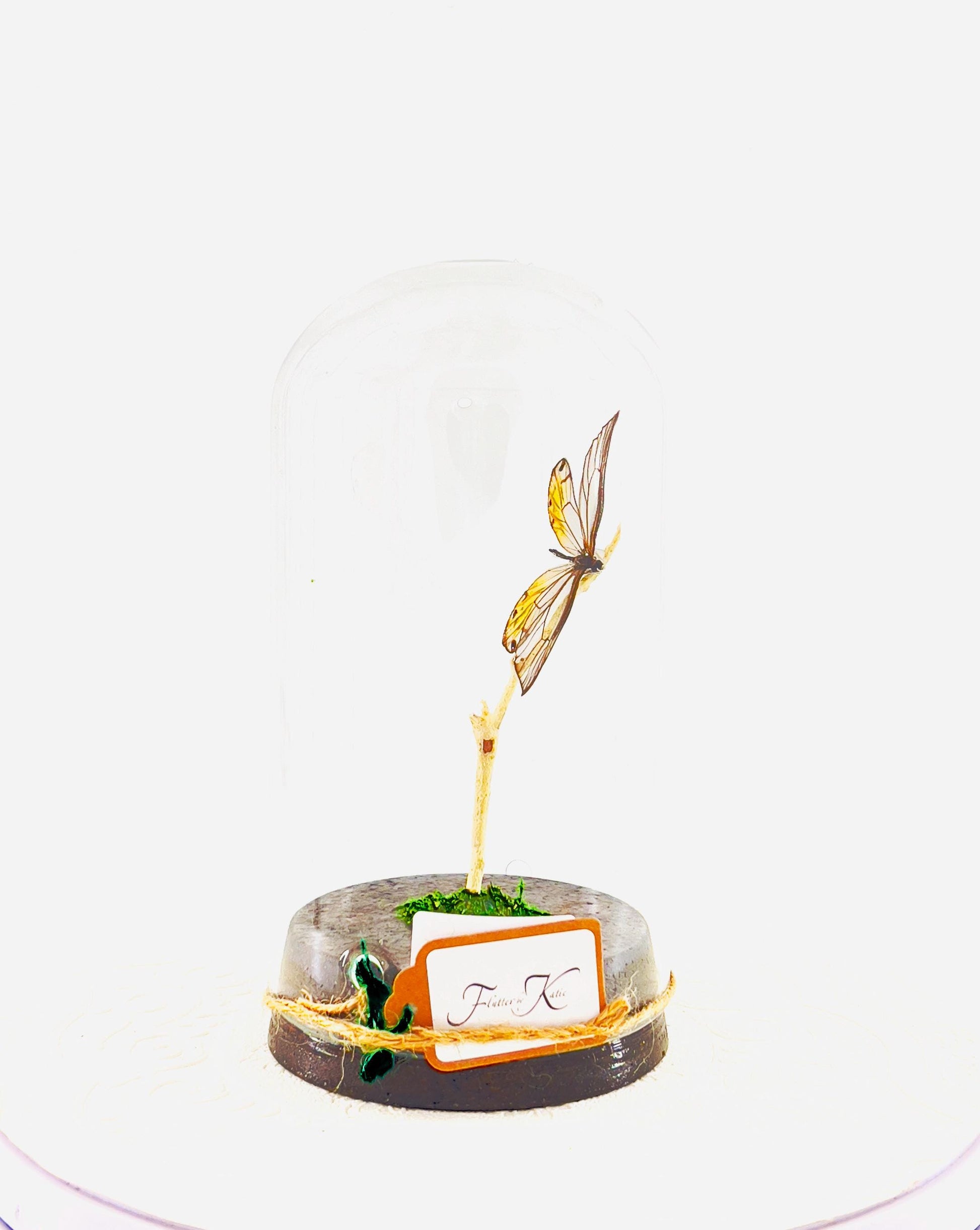 Large Pendant | Amber Phantom | Glasswing | Transparent | Flutter by Katie | Handmade Butterfly Sculpture Art | Home Decor | Peru
