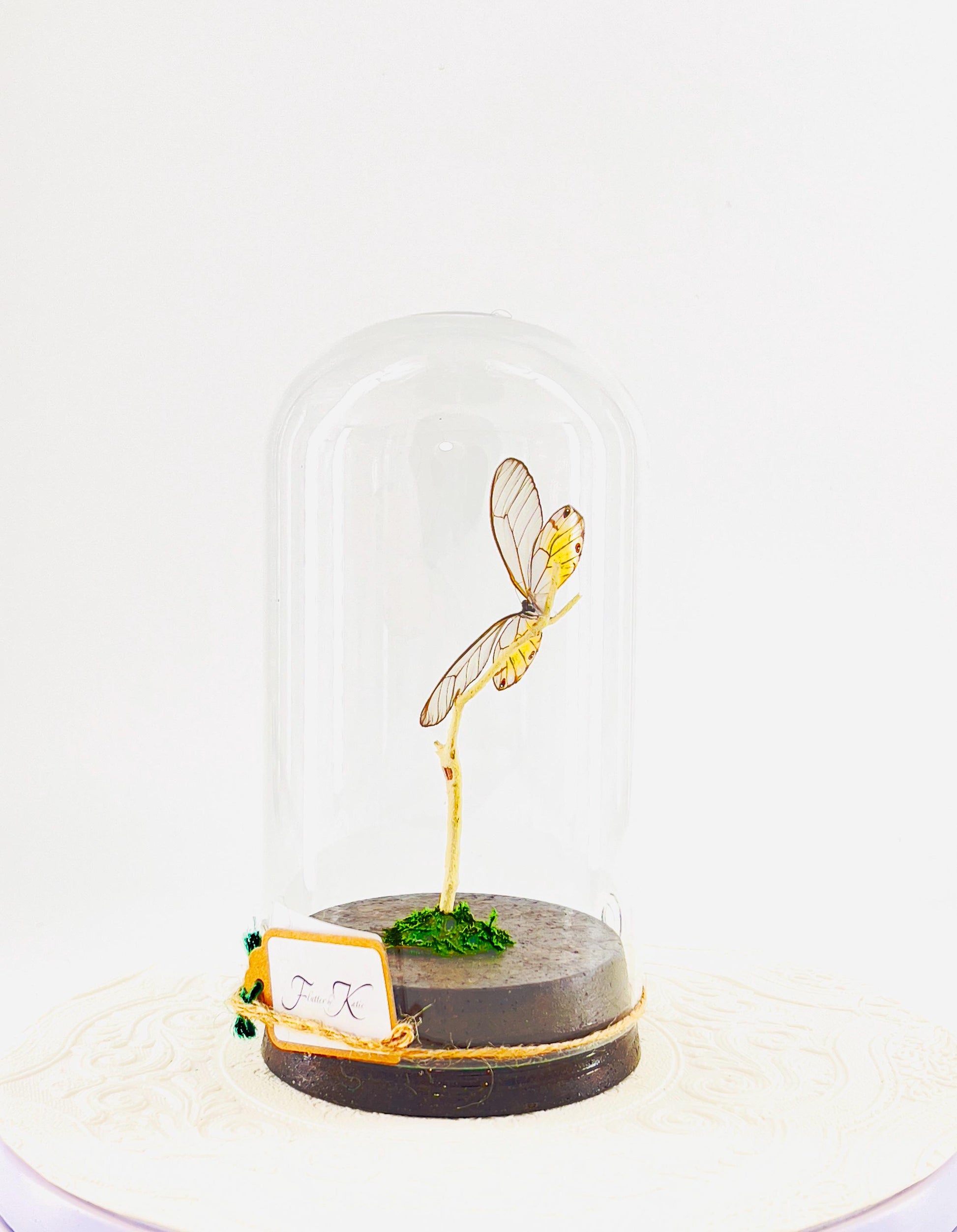 Large Pendant | Amber Phantom | Glasswing | Transparent | Flutter by Katie | Handmade Butterfly Sculpture Art | Home Decor | Peru