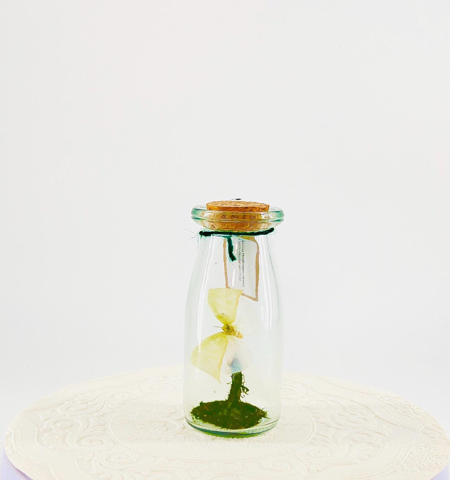 Accent | Centerpiece | Maliau Planthopper | Green White | Flutter by Katie | Handmade Sculpture Art | Real Specimens | Home Decor | Asia