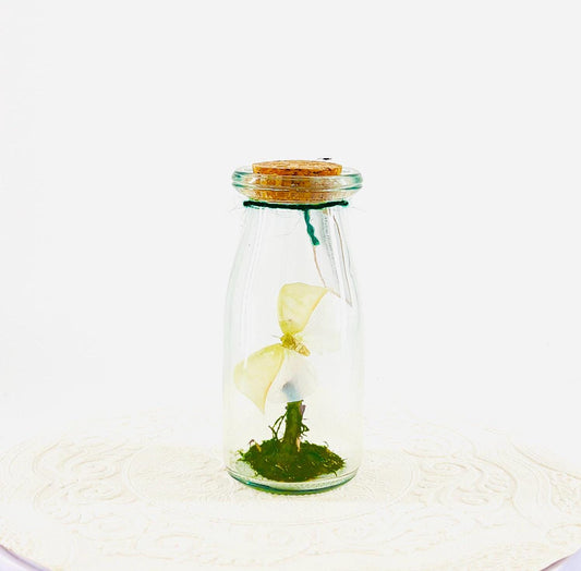Accent | Centerpiece | Maliau Planthopper | Green White | Flutter by Katie | Handmade Sculpture Art | Real Specimens | Home Decor | Asia