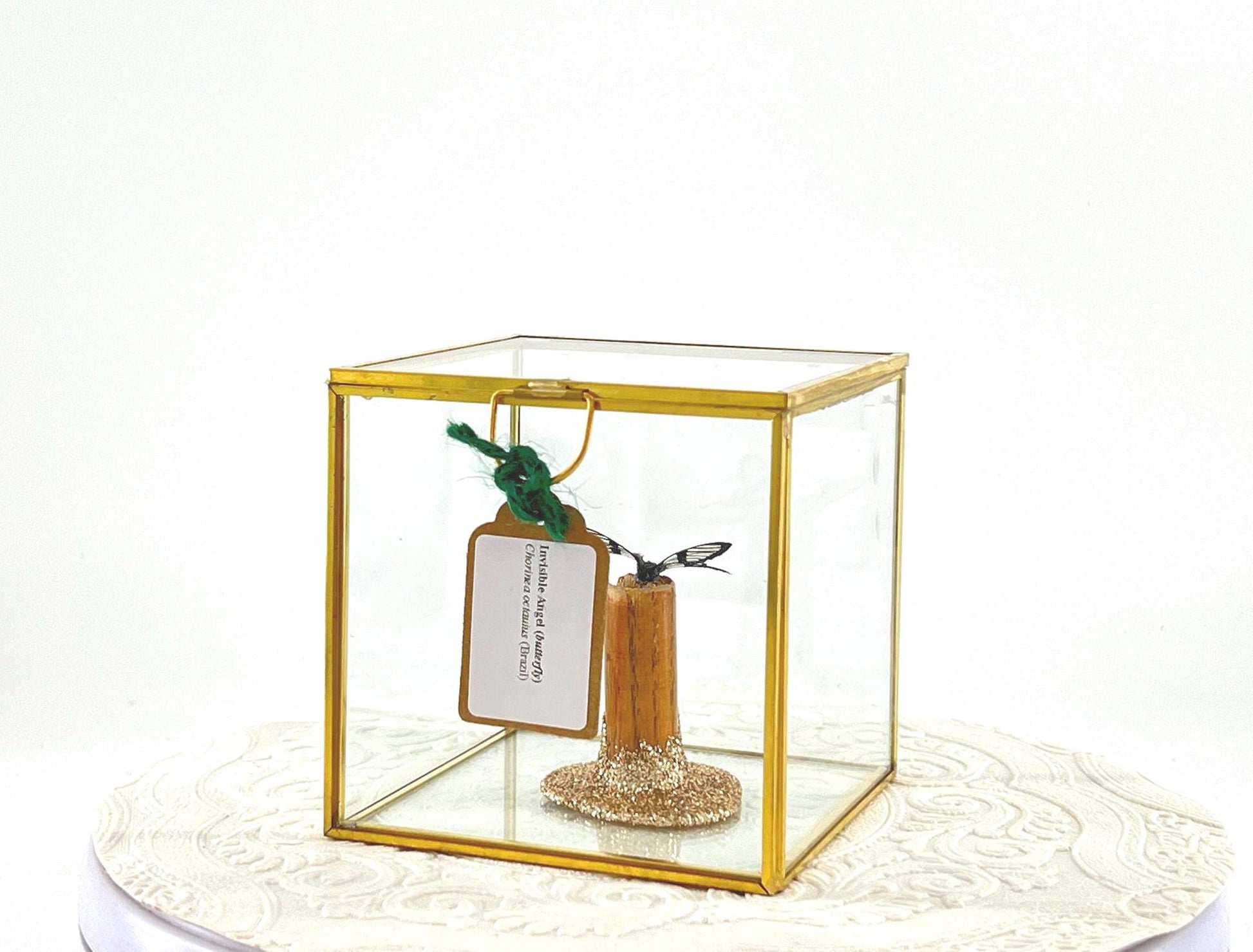 The Cube | Centerpiece | Invisible Angel | Black Transparent | Flutter by Katie | Handmade Butterfly Sculpture Art | Home Decor | Brazil