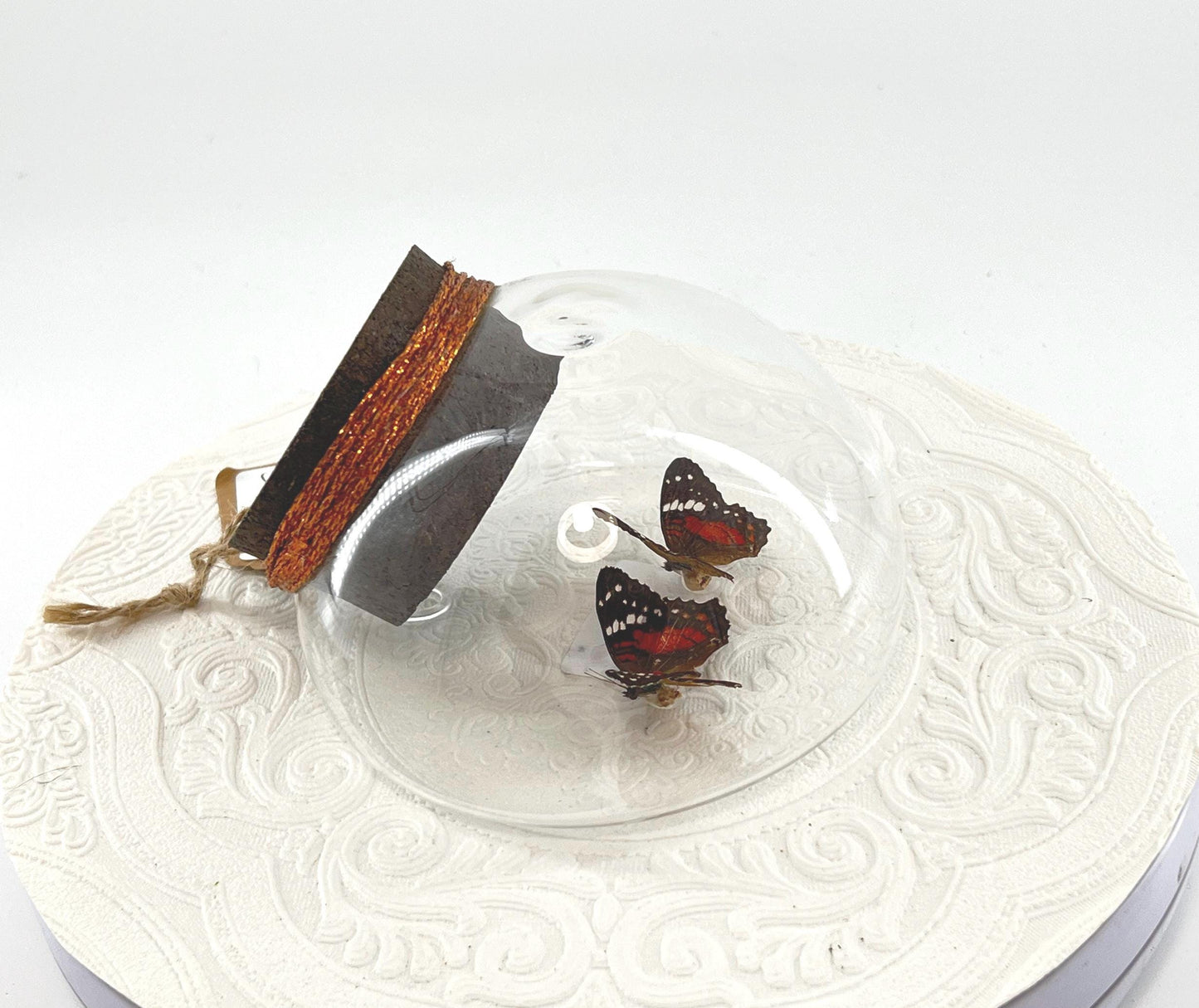 Droplet | Tabletop Wall Hanging | Double Scarlet Peacock | Red Brown | Flutter by Katie | Butterfly Sculpture Art | Glass Bubble | S America