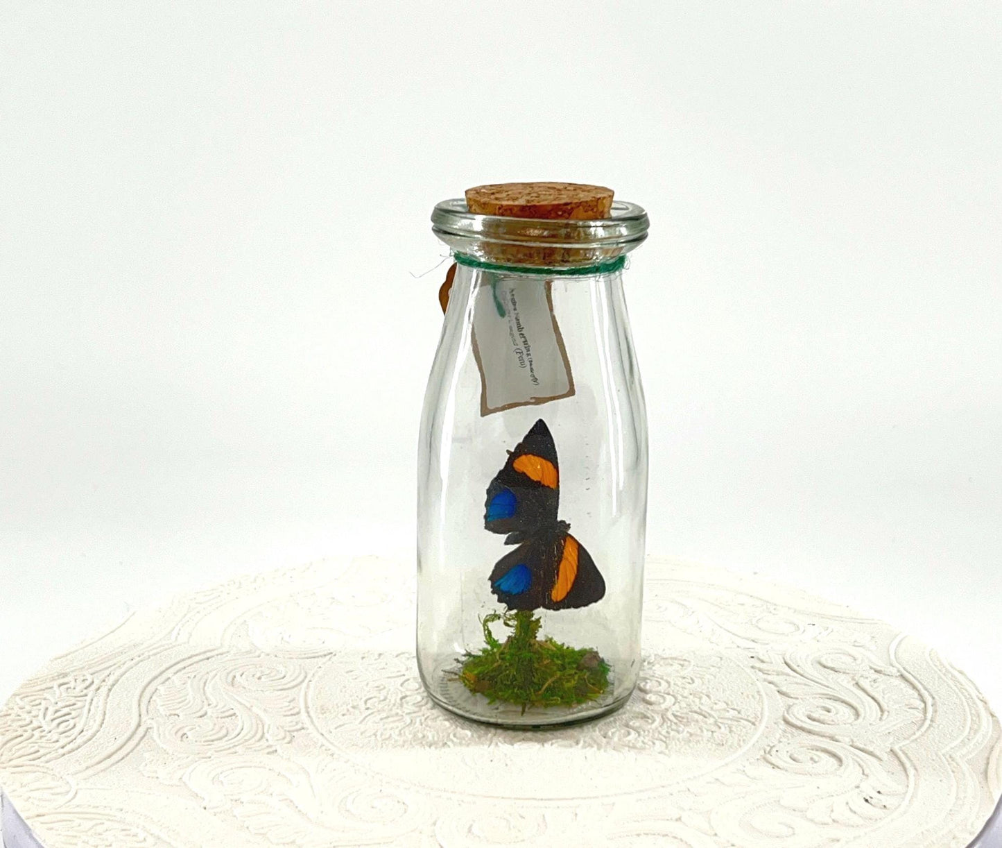 Accent | Centerpiece | Aegina Numberwing | Blue Yellow | Flutter by Katie | Handmade Butterfly Sculpture Art | Home Decor | Peru