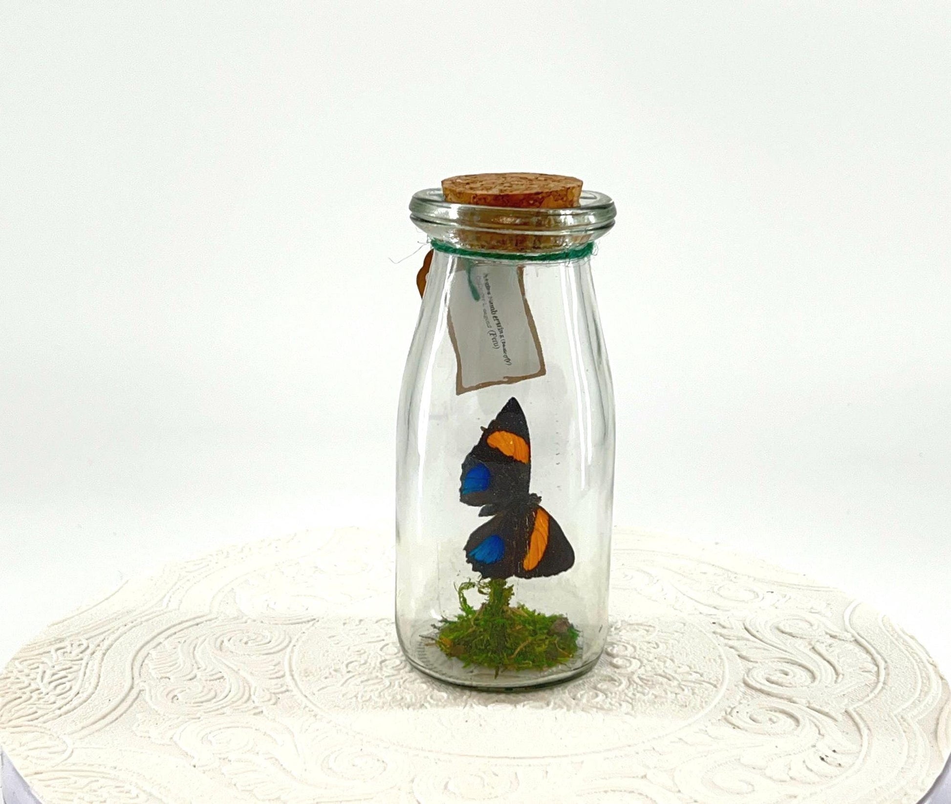 Accent | Centerpiece | Aegina Numberwing | Blue Yellow | Flutter by Katie | Handmade Butterfly Sculpture Art | Home Decor | Peru