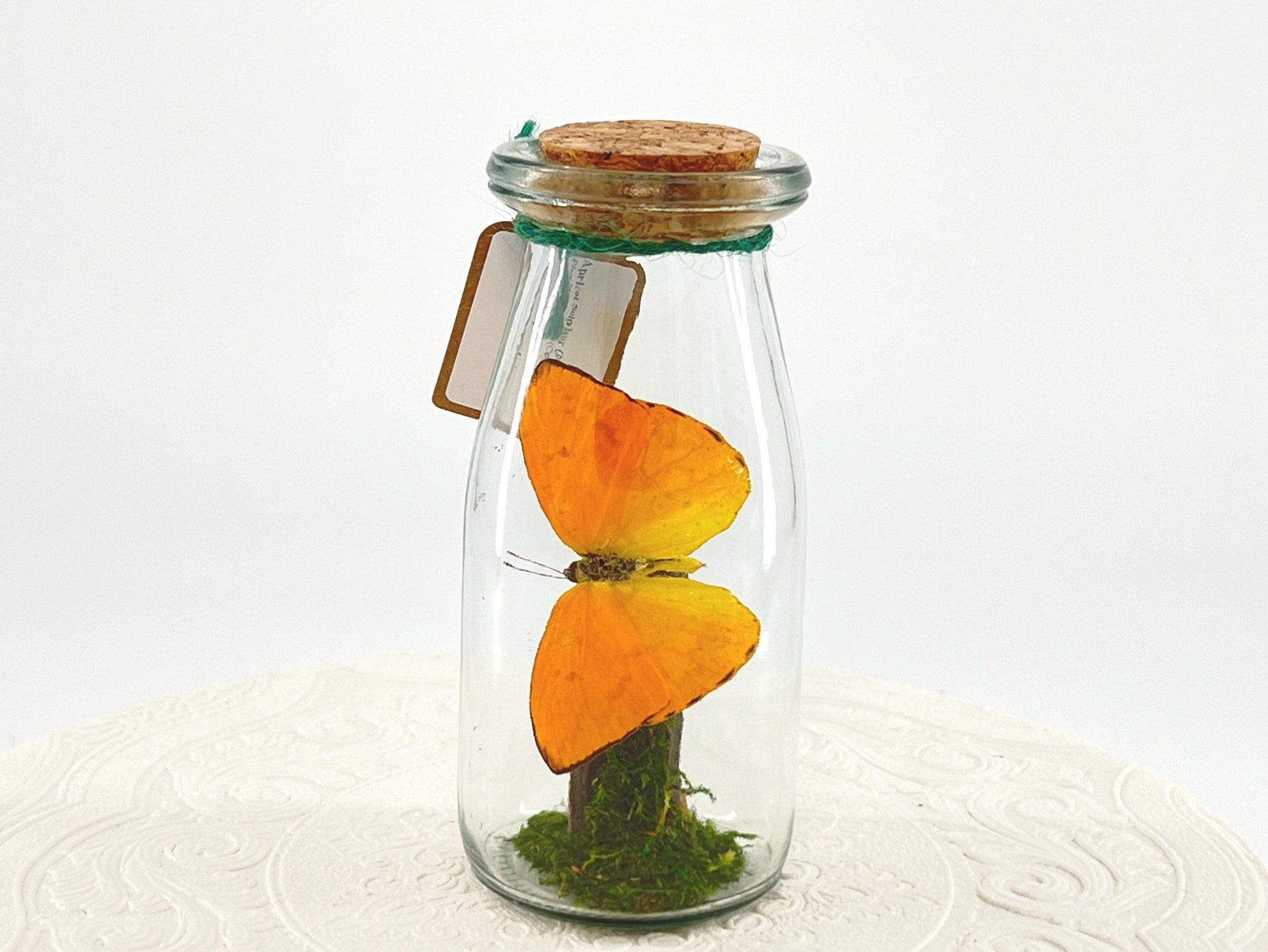 Accent | Centerpiece | Apricot Sulphur | Yellow | Flutter by Katie | Handmade Butterfly Sculpture Art | Home Decor | Central America