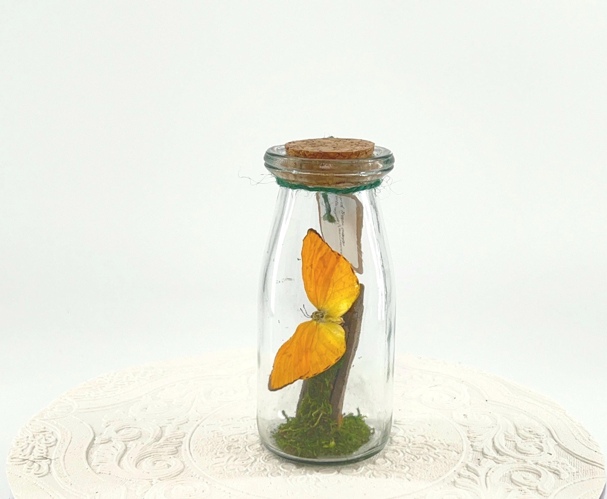 Accent | Centerpiece | Apricot Sulphur | Yellow | Flutter by Katie | Handmade Butterfly Sculpture Art | Home Decor | Central America
