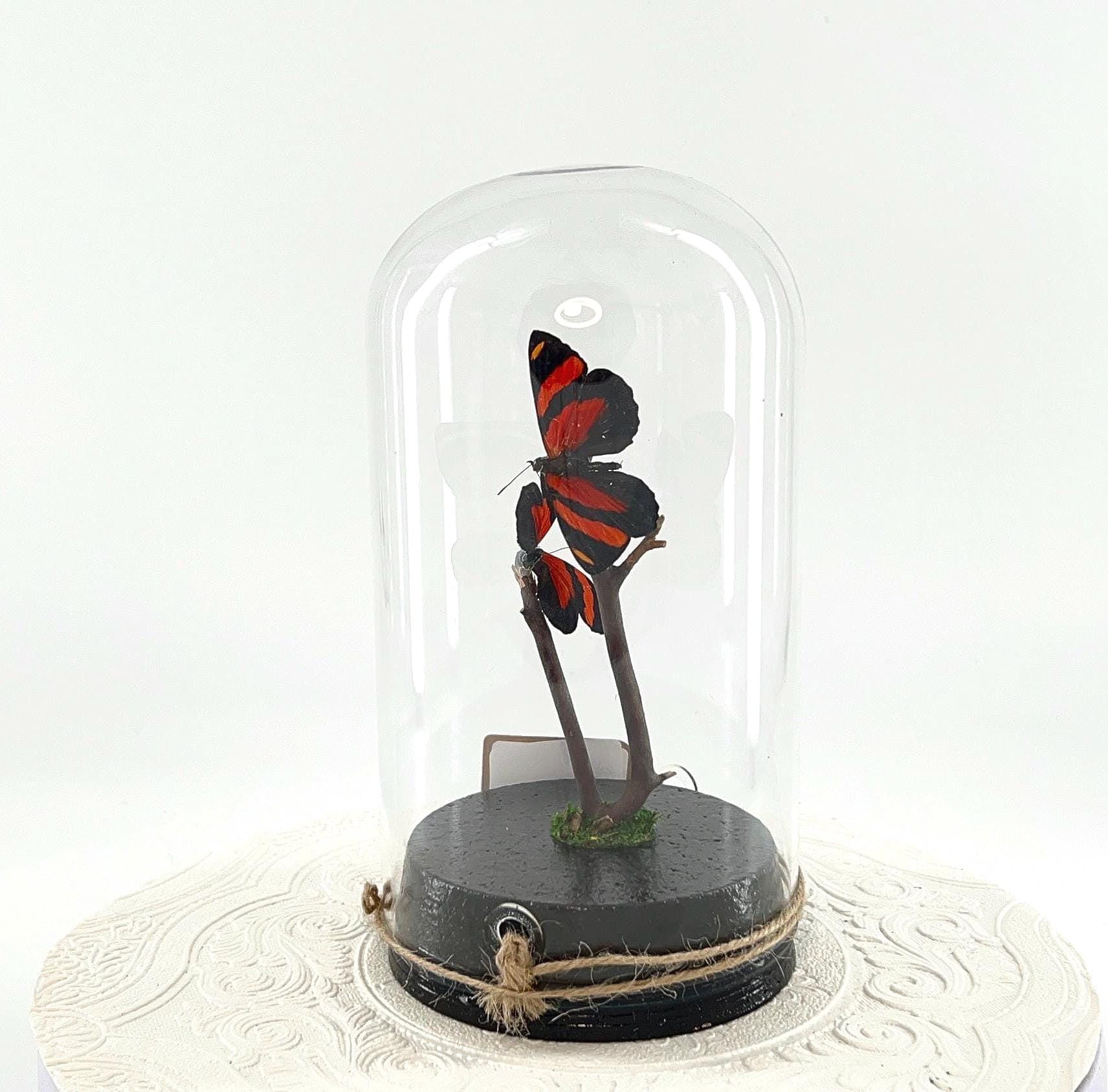 Large Pendant | Centerpiece | Double Cynosura Numberwing | Red Black | Flutter by Katie | Butterfly Sculpture Art | South America