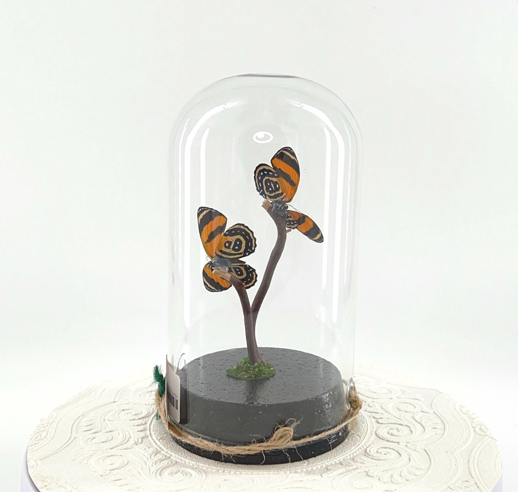 Large Pendant | Centerpiece | Double Cynosura Numberwing | Red Black | Flutter by Katie | Butterfly Sculpture Art | South America