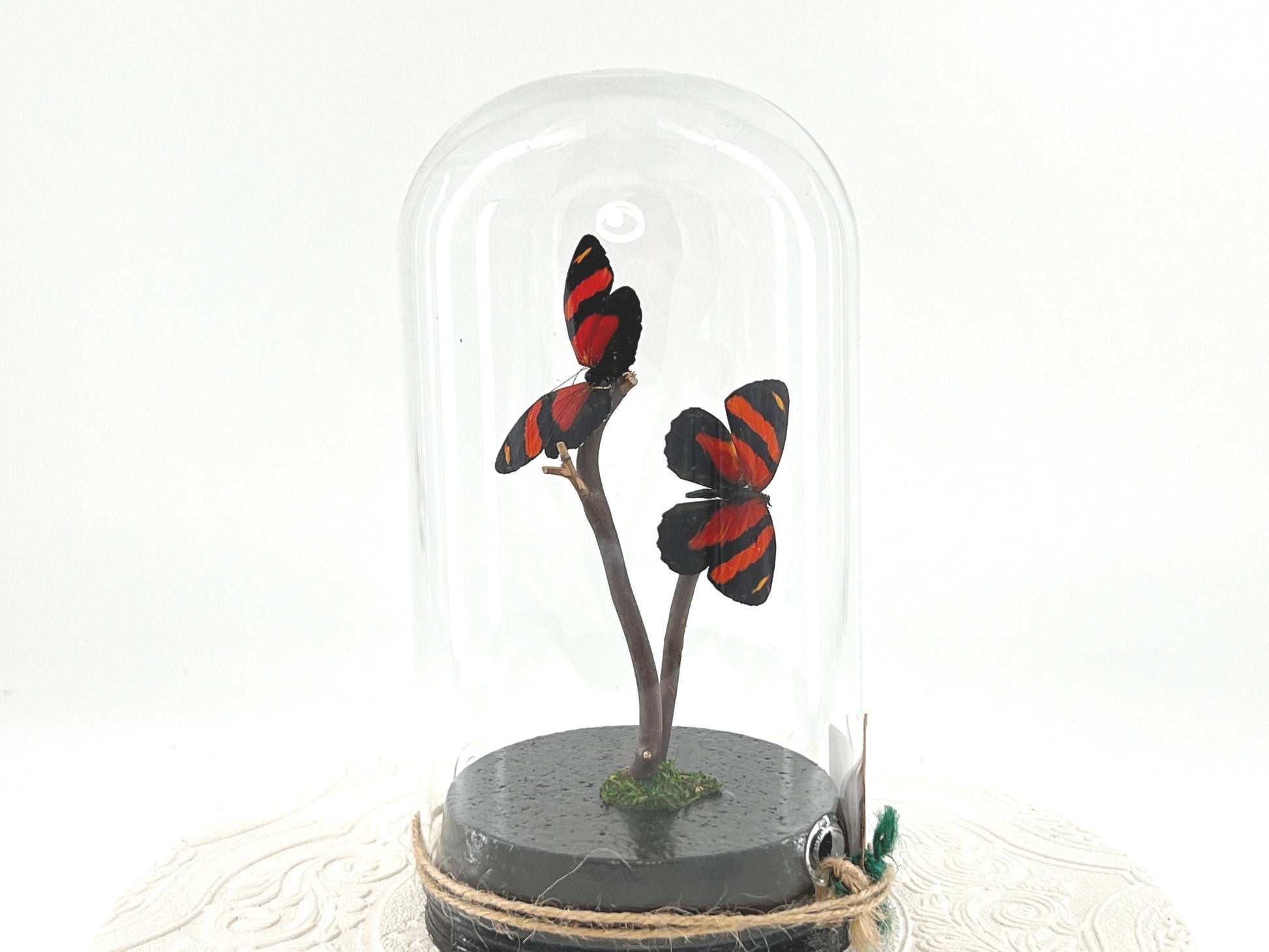 Large Pendant | Centerpiece | Double Cynosura Numberwing | Red Black | Flutter by Katie | Butterfly Sculpture Art | South America