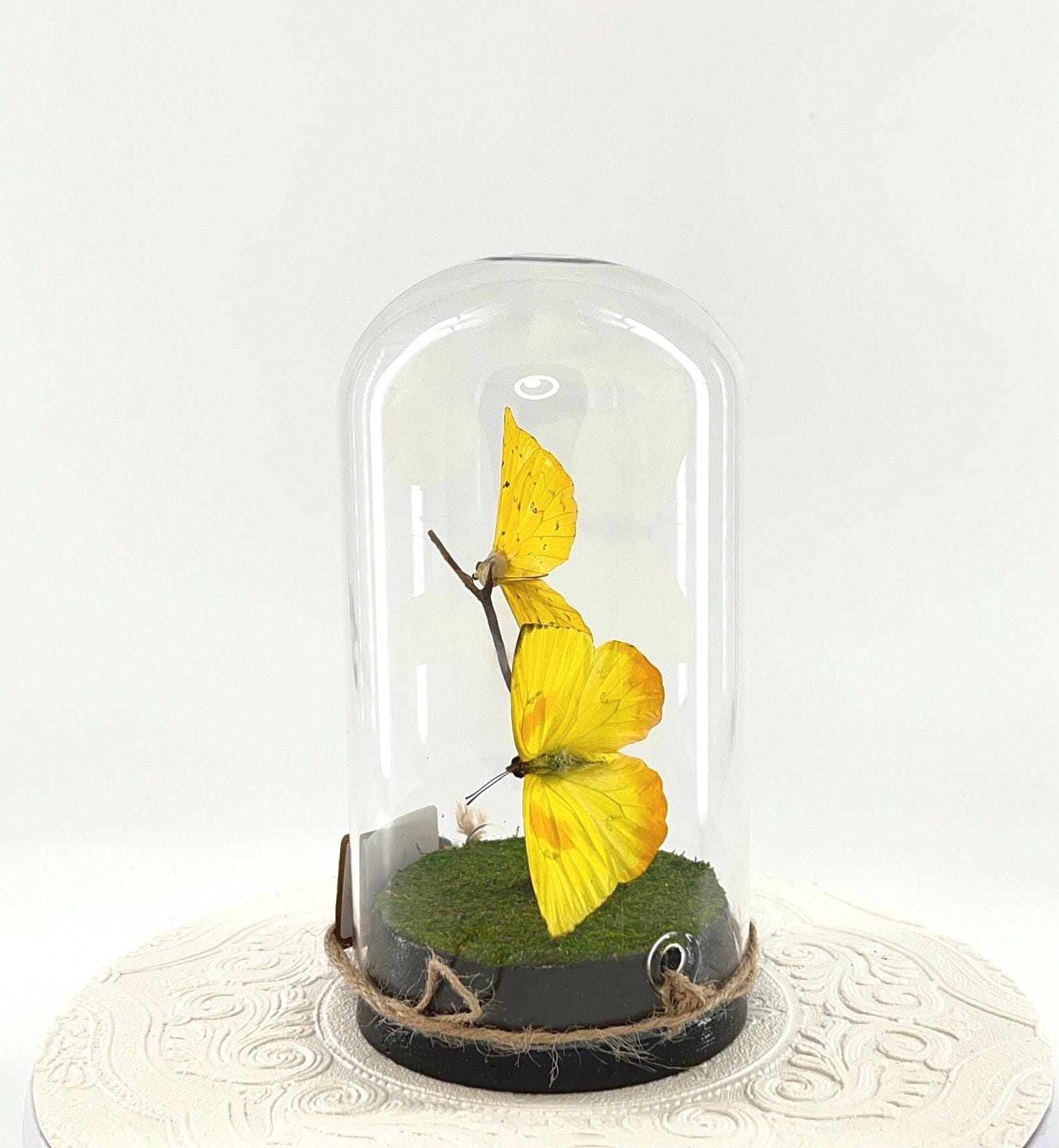 Large Pendant | Hang or Tabletop Centerpiece | Double Orange-barred Sulphur | Yellow | Flutter by Katie Butterfly Sculpture Art | N America