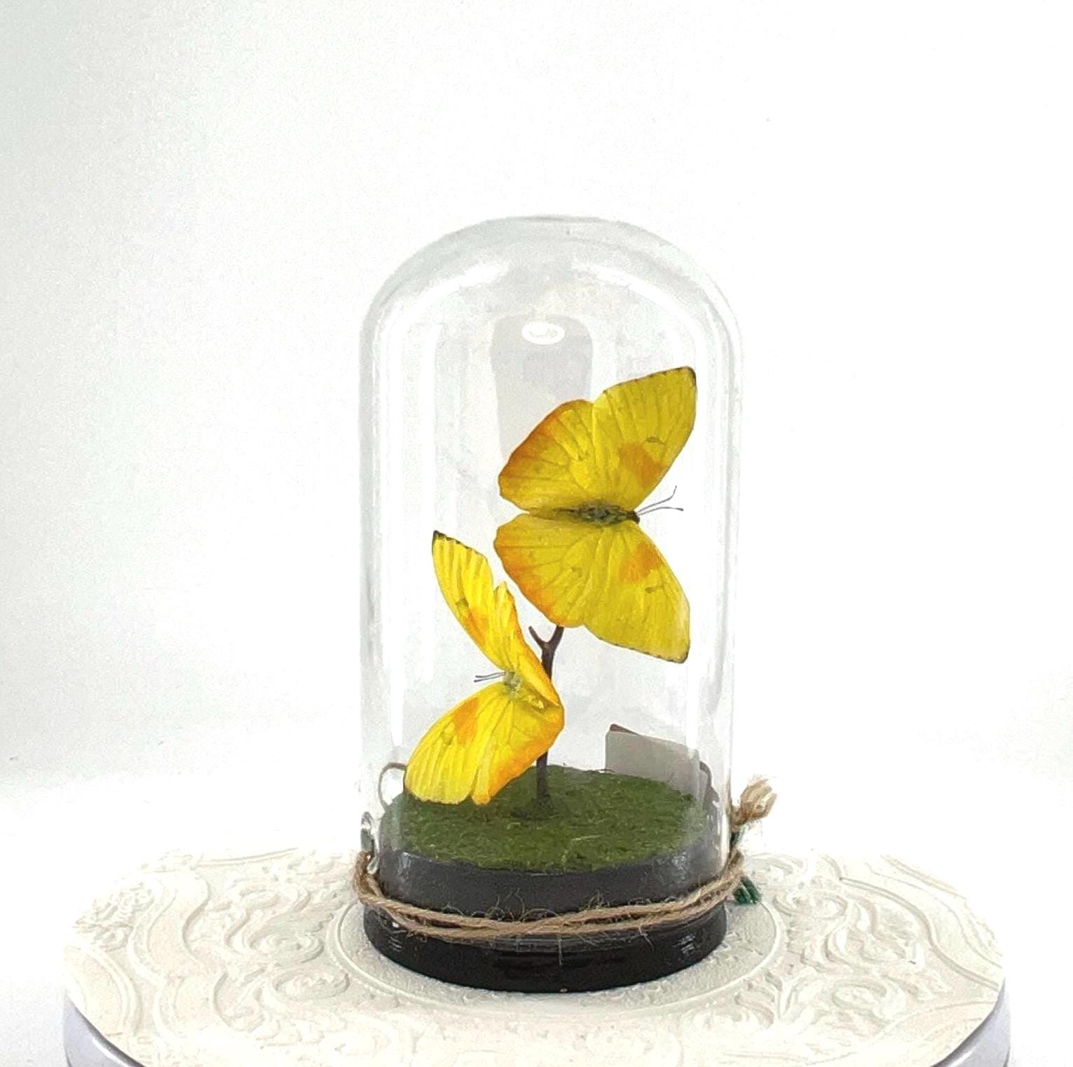 Large Pendant | Hang or Tabletop Centerpiece | Double Orange-barred Sulphur | Yellow | Flutter by Katie Butterfly Sculpture Art | N America
