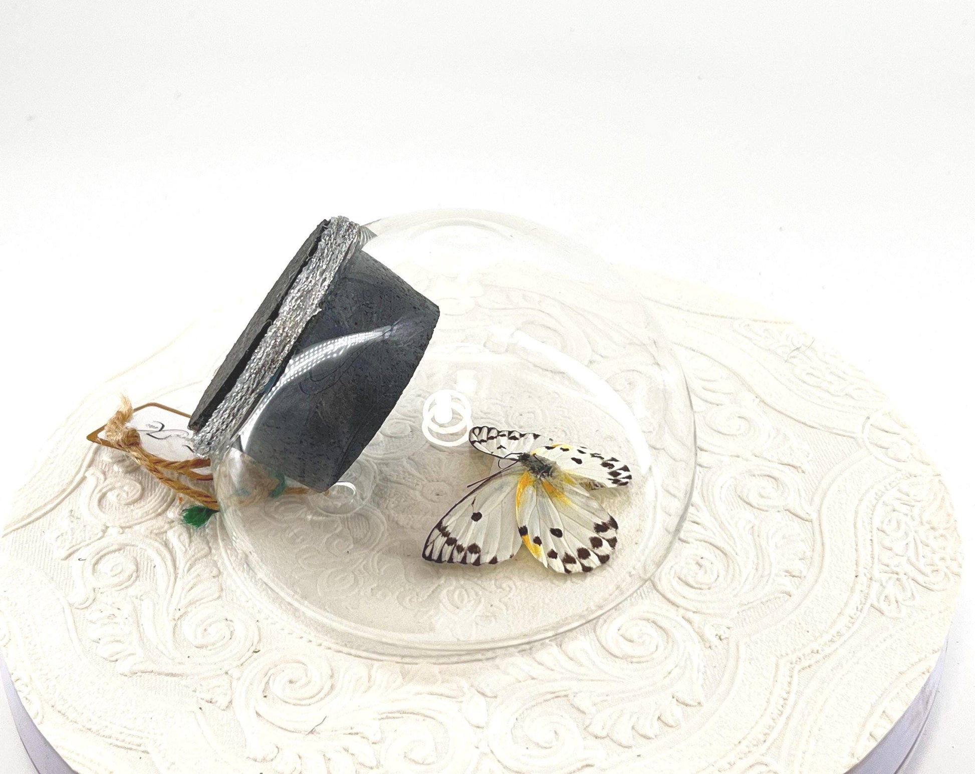 Droplet | Tabletop Wall Hanging | Calypso | White Black Polkadots | Butterfly Sculpture Art Display | Glass Bubble | Central Africa