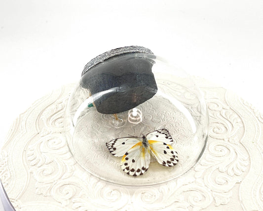 Droplet | Tabletop Wall Hanging | Calypso | White Black Polkadots | Butterfly Sculpture Art Display | Glass Bubble | Central Africa