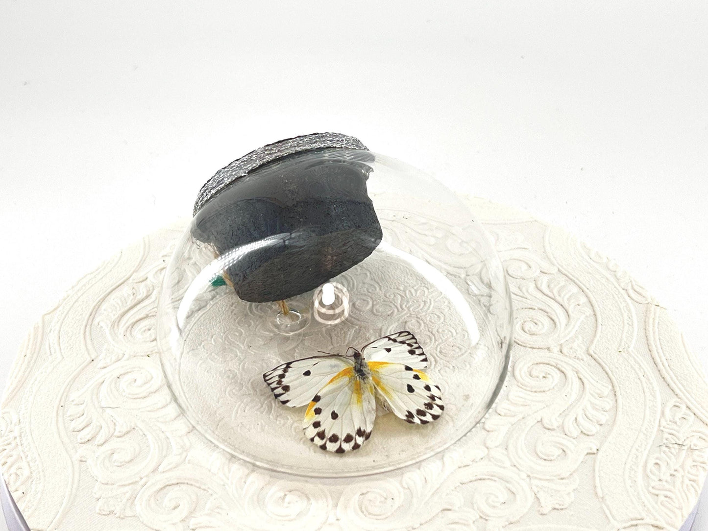 Droplet | Tabletop Wall Hanging | Calypso | White Black Polkadots | Butterfly Sculpture Art Display | Glass Bubble | Central Africa