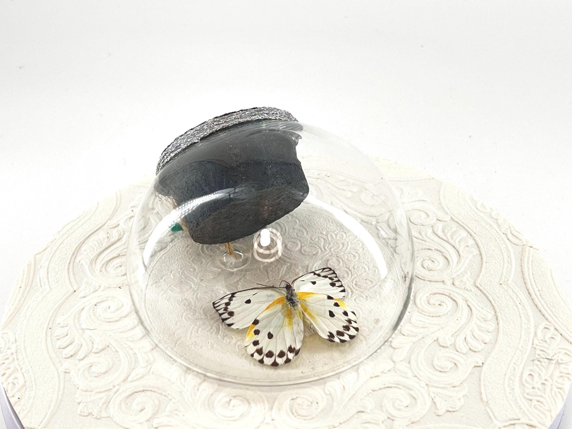 Droplet | Tabletop Wall Hanging | Calypso | White Black Polkadots | Butterfly Sculpture Art Display | Glass Bubble | Central Africa