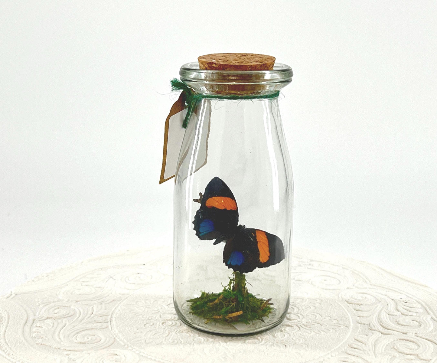 Accent | Centerpiece | Aegina Numberwing | Blue Yellow | Flutter by Katie | Handmade Butterfly Sculpture Art | Home Decor | Peru