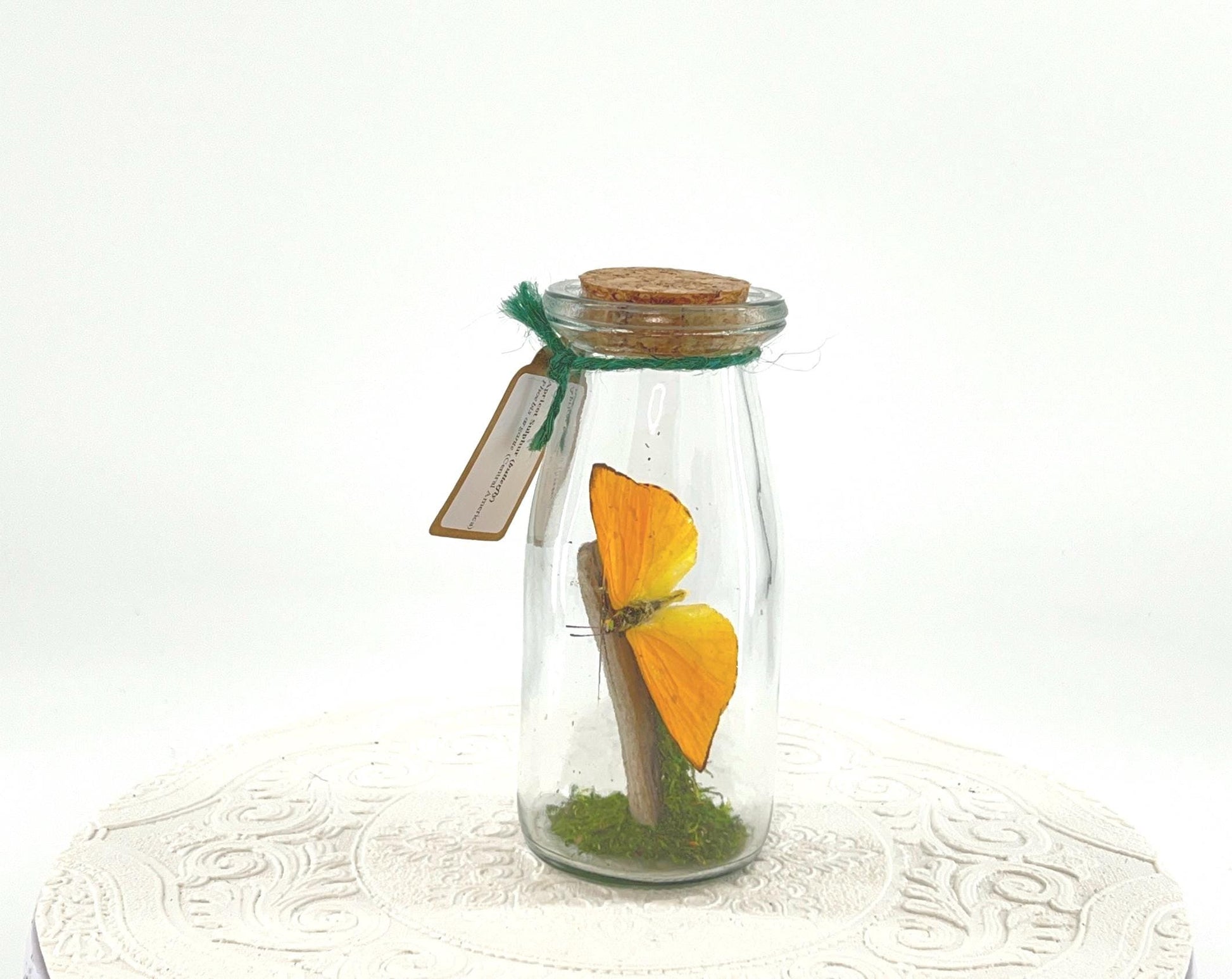 Accent | Centerpiece | Apricot Sulphur | Yellow | Flutter by Katie | Handmade Butterfly Sculpture Art | Home Decor | Central America