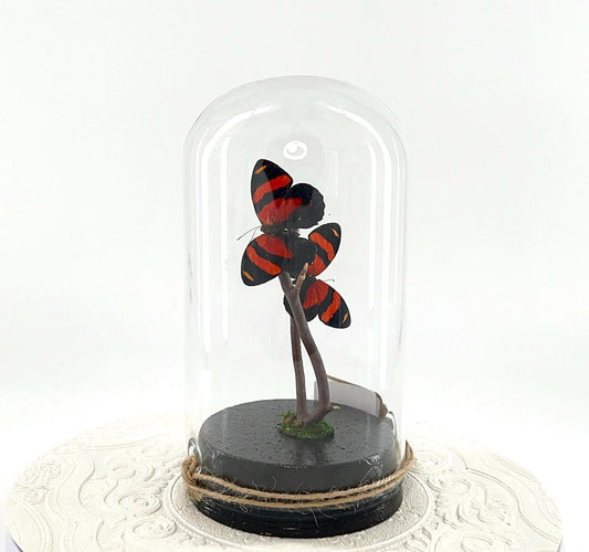 Large Pendant | Centerpiece | Double Cynosura Numberwing | Red Black | Flutter by Katie | Butterfly Sculpture Art | South America