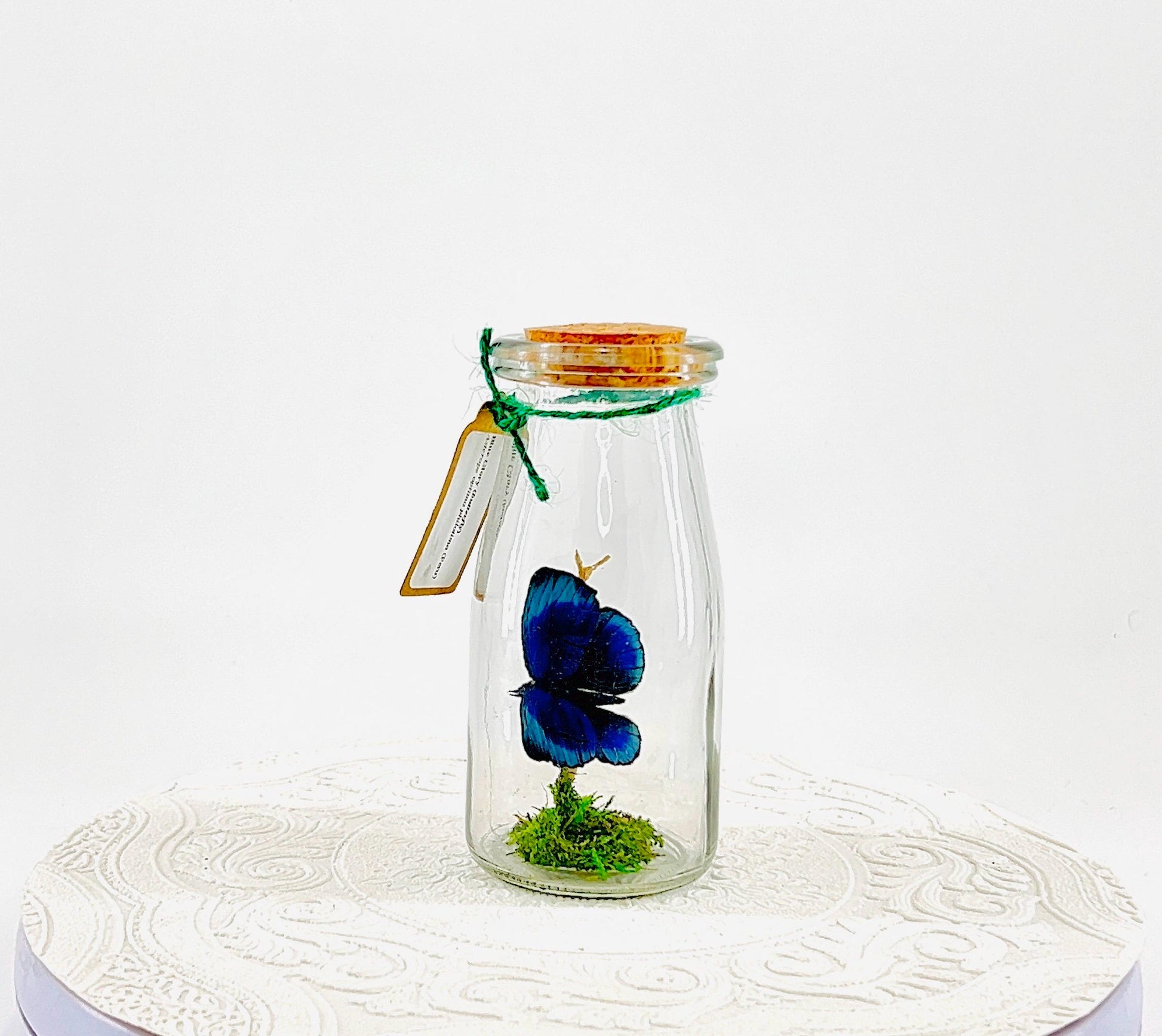 Accent | Centerpiece | Blue Glory | Green | Flutter by Katie | Butterfly Display | Handmade | Real Butterflies | Home Decor South America
