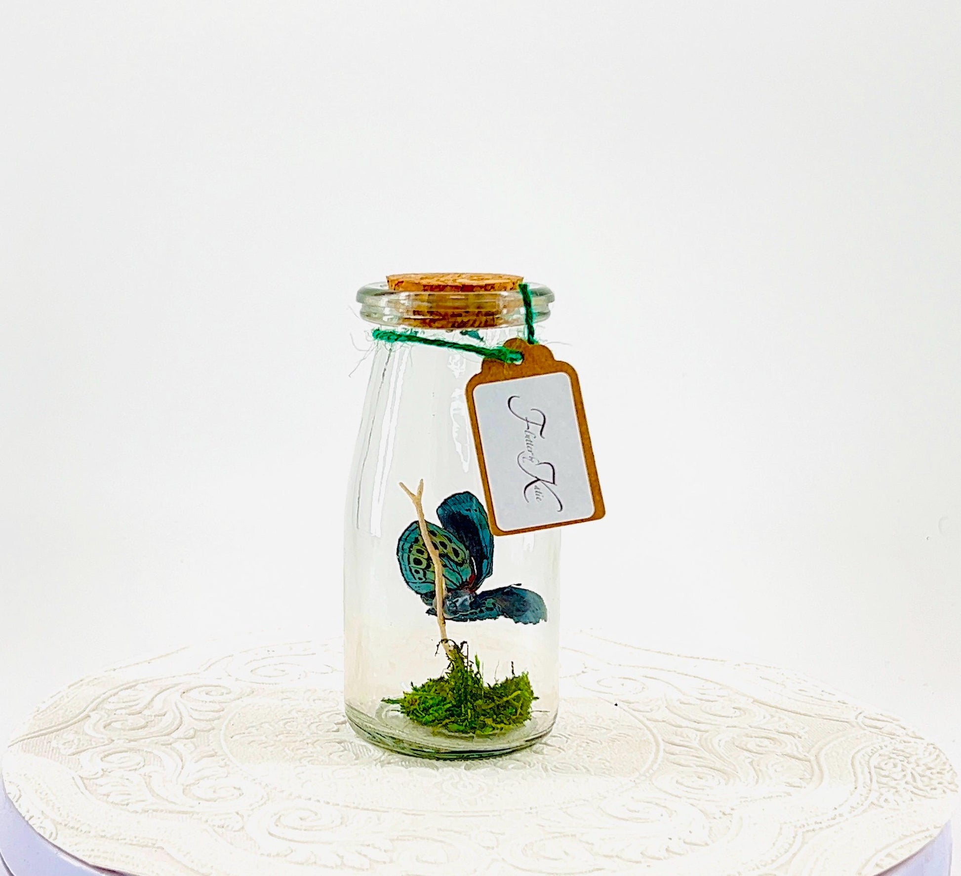 Accent | Centerpiece | Blue Glory | Green | Flutter by Katie | Butterfly Display | Handmade | Real Butterflies | Home Decor South America