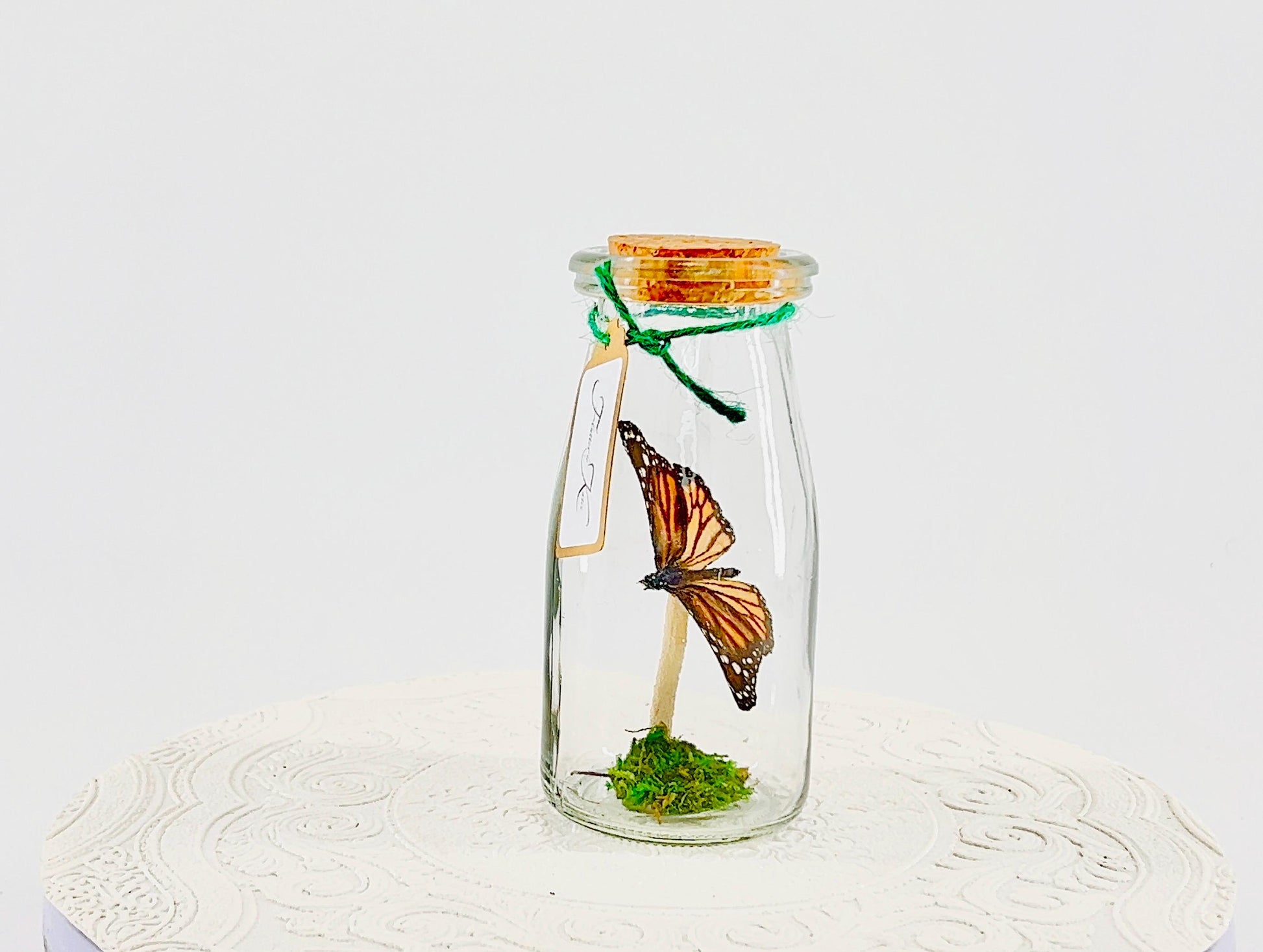 Accent | Centerpiece | Monarch | Black Orange | Flutter by Katie Butterfly Display | Handmade | Real Butterflies | Home Decor North America