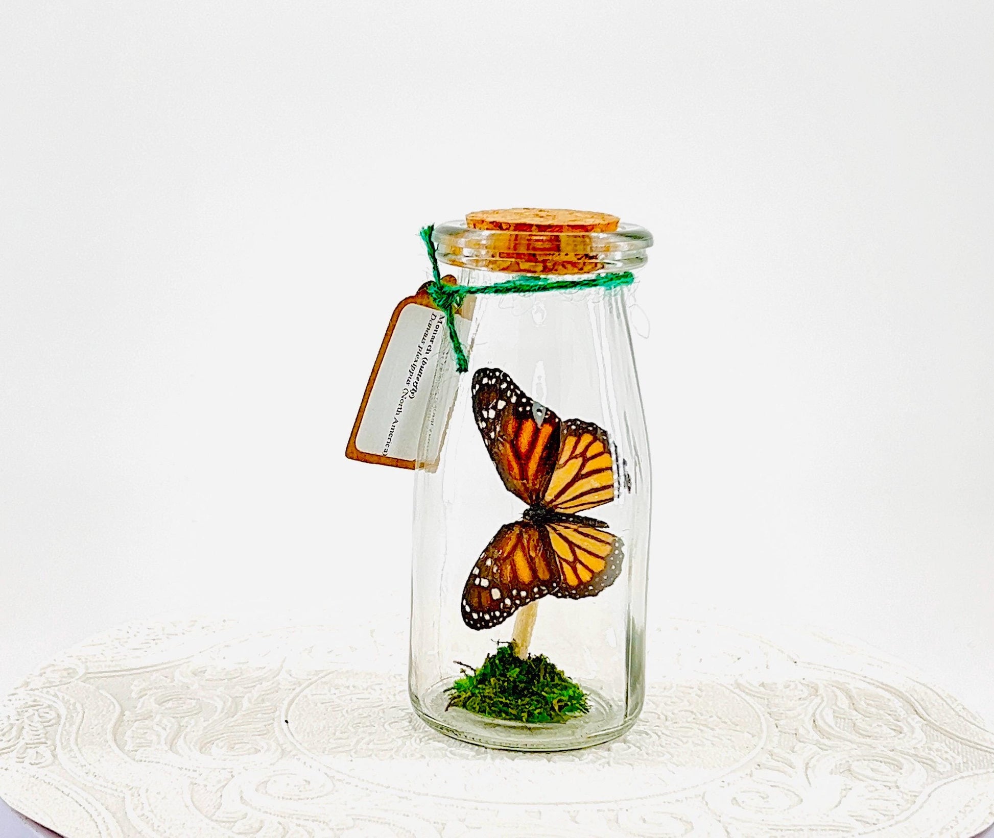 Accent | Centerpiece | Monarch | Black Orange | Flutter by Katie Butterfly Display | Handmade | Real Butterflies | Home Decor North America