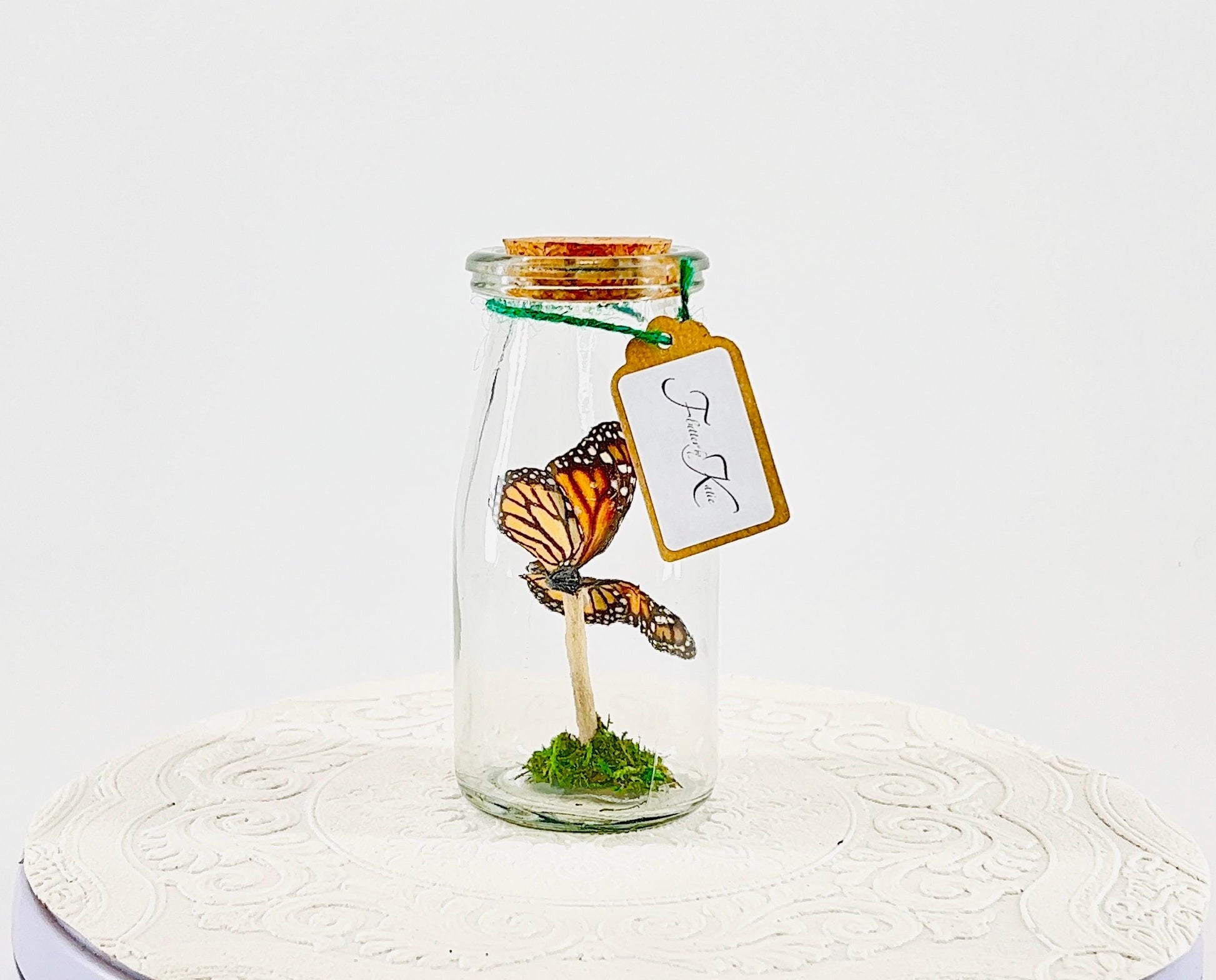 Accent | Centerpiece | Monarch | Black Orange | Flutter by Katie Butterfly Display | Handmade | Real Butterflies | Home Decor North America