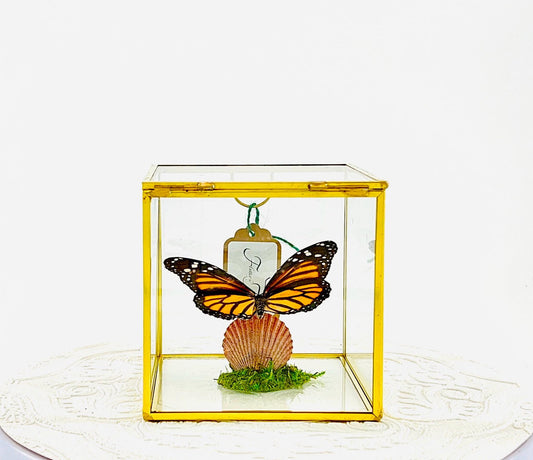 The Cube | Centerpiece | Monarch | Black Orange | Flutter by Katie Handmade Butterfly Sculpture Art | Home Decor | North America