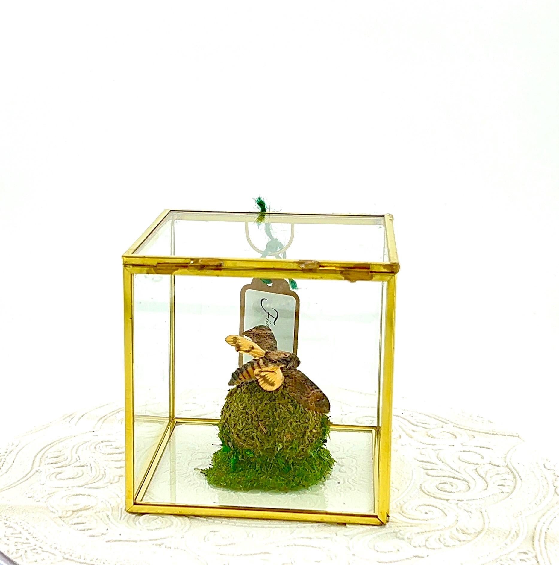 The Cube | Centerpiece | Death Head Moth | Black Brown | Flutter by Katie Handmade Butterfly Sculpture Art | Home Decor | Bali