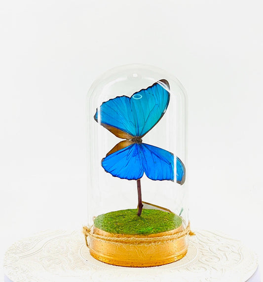 Large Pendant | Hang or Tabletop Centerpiece | Blue Morpho | Irridescent | Flutter by Katie Butterfly Sculpture Art | Home Decor | Guyana