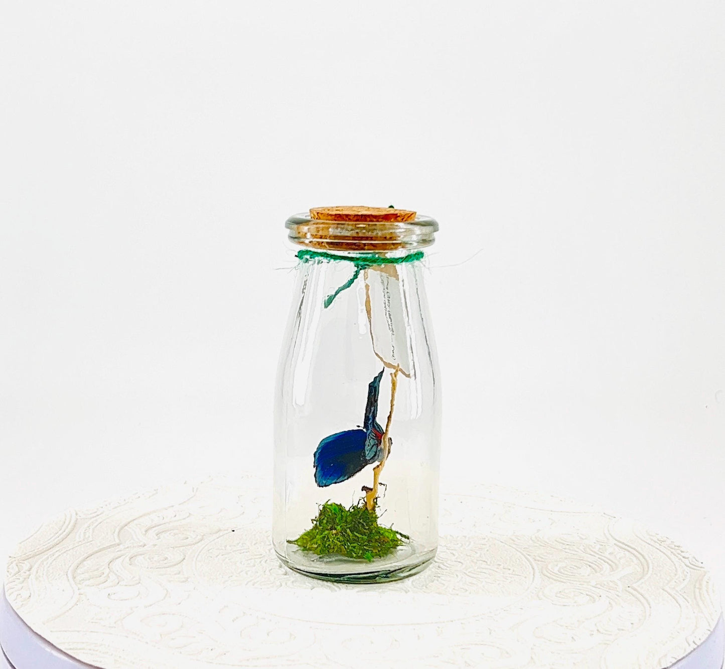 Accent | Centerpiece | Blue Glory | Green | Flutter by Katie | Butterfly Display | Handmade | Real Butterflies | Home Decor South America