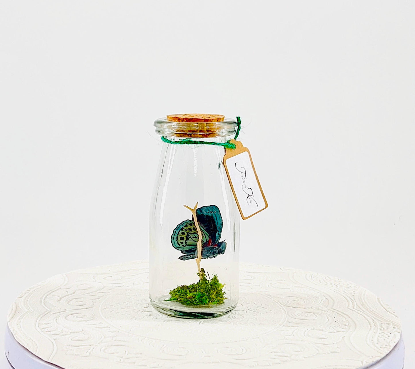 Accent | Centerpiece | Blue Glory | Green | Flutter by Katie | Butterfly Display | Handmade | Real Butterflies | Home Decor South America