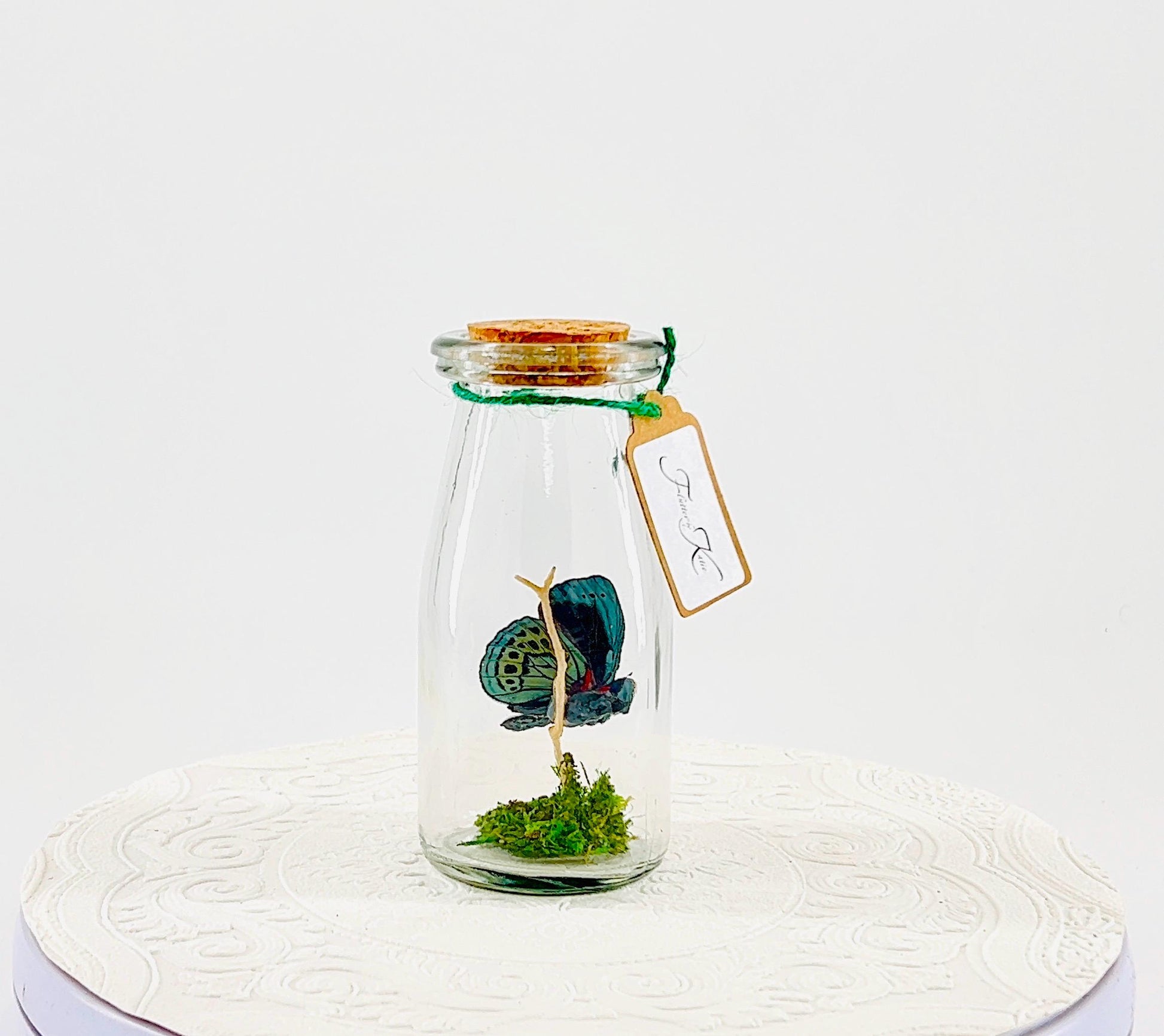 Accent | Centerpiece | Blue Glory | Green | Flutter by Katie | Butterfly Display | Handmade | Real Butterflies | Home Decor South America