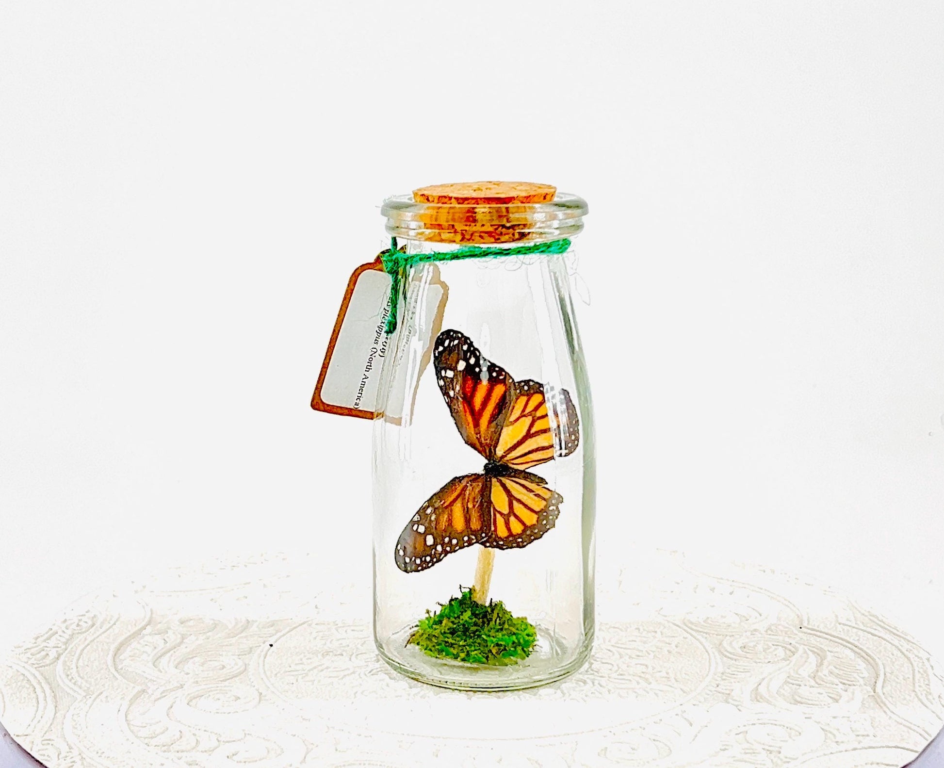 Accent | Centerpiece | Monarch | Black Orange | Flutter by Katie Butterfly Display | Handmade | Real Butterflies | Home Decor North America