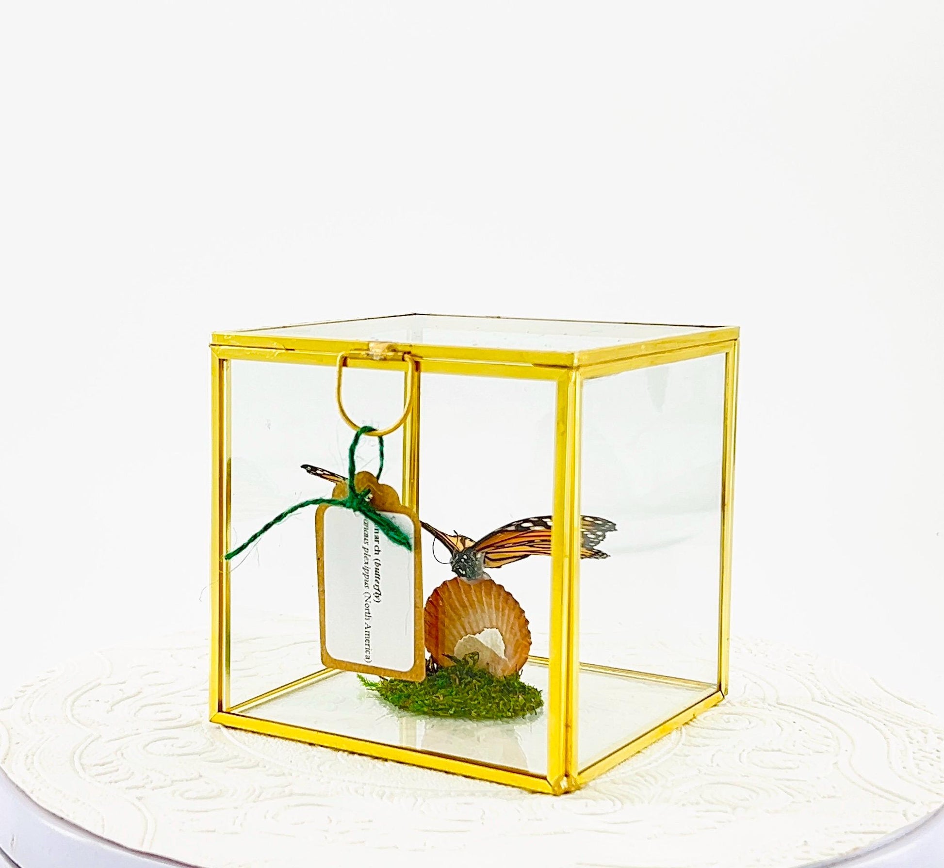 The Cube | Centerpiece | Monarch | Black Orange | Flutter by Katie Handmade Butterfly Sculpture Art | Home Decor | North America