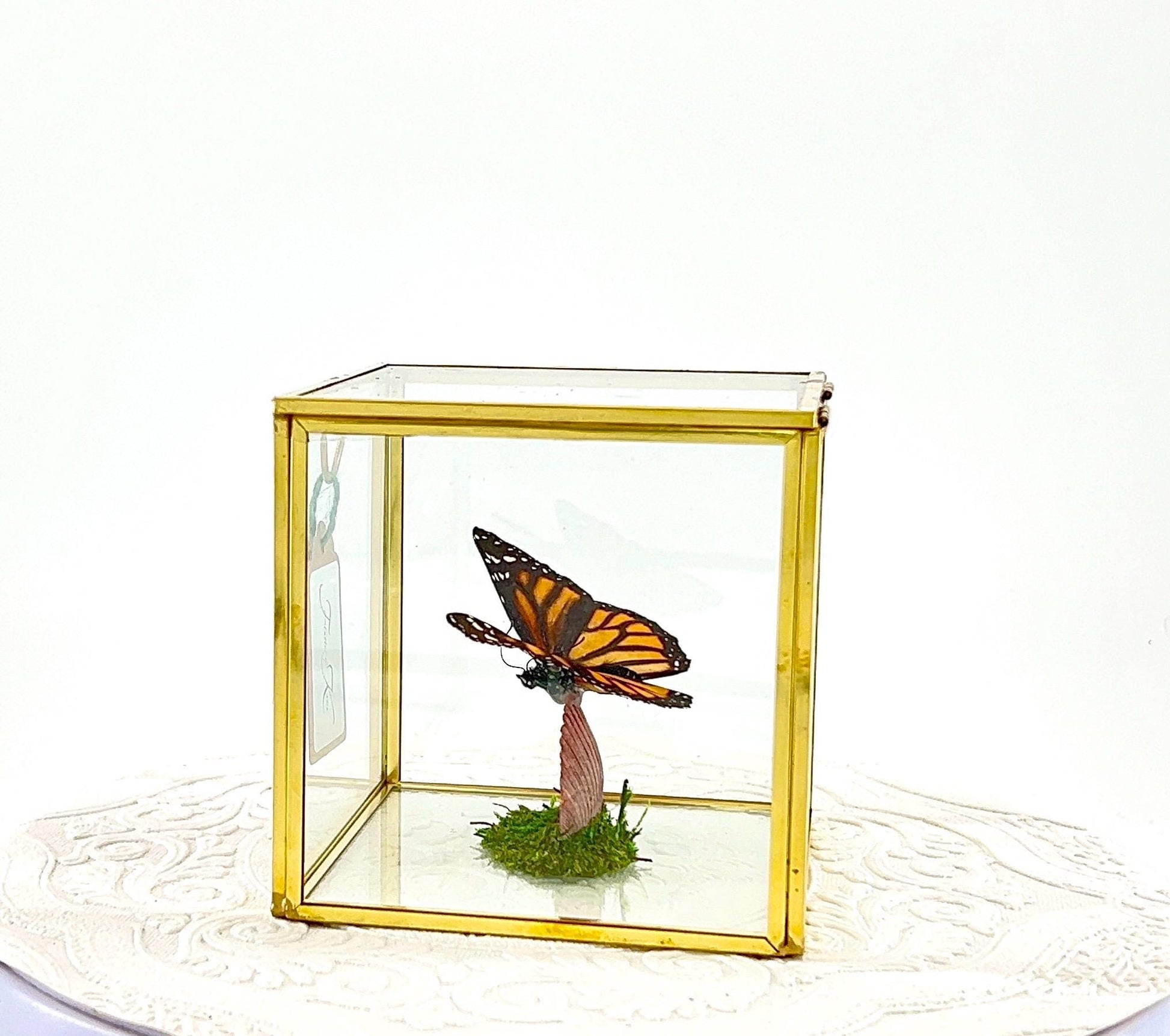 The Cube | Centerpiece | Monarch | Black Orange | Flutter by Katie Handmade Butterfly Sculpture Art | Home Decor | North America