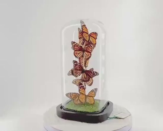 Small Centerpiece | Monarch | Orange Black | Flutter by Katie | Handmade Butterfly Sculpture Art | Taxidermy | Home Decor | North America