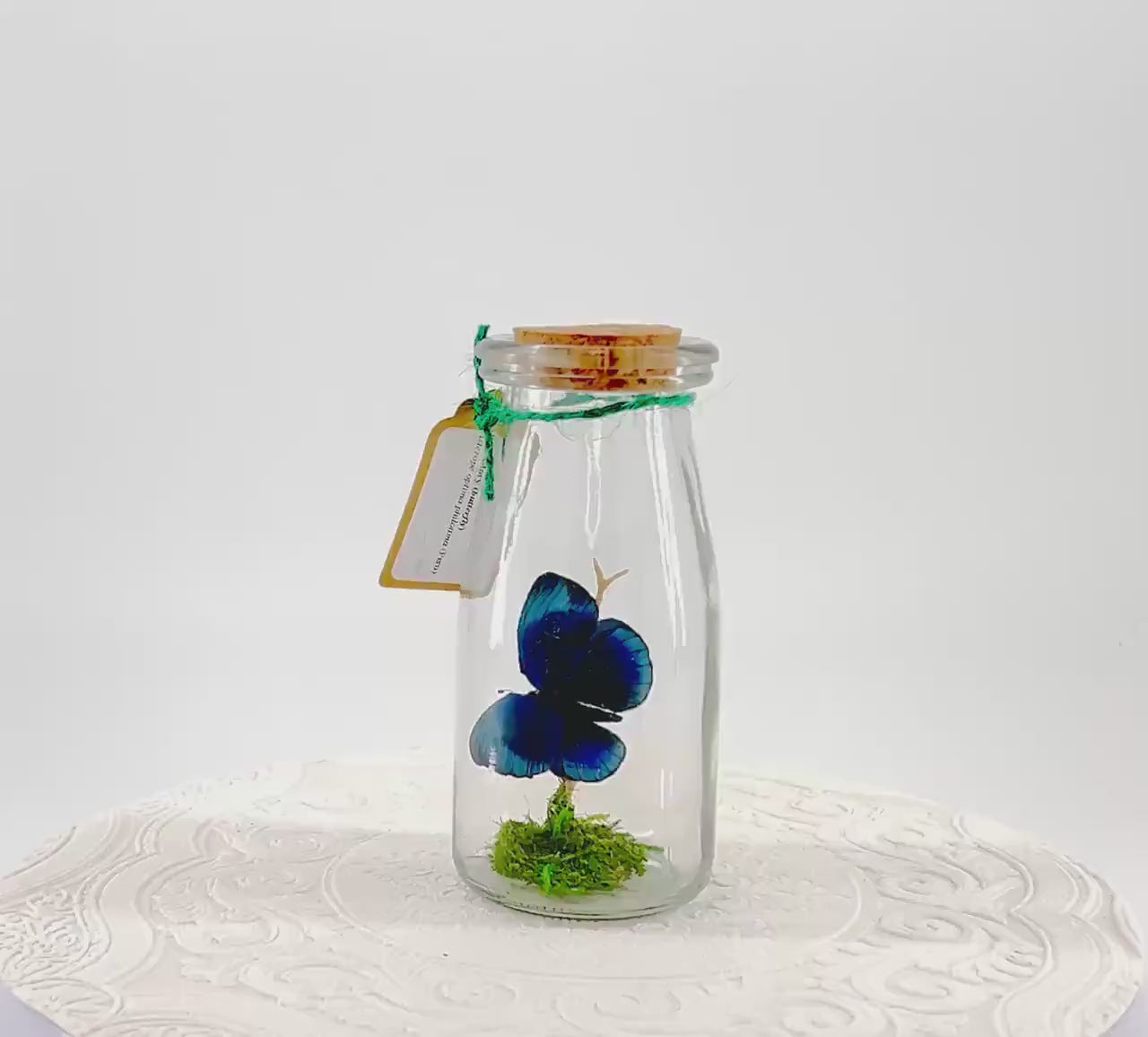 Accent | Centerpiece | Blue Glory | Green | Flutter by Katie | Butterfly Display | Handmade | Real Butterflies | Home Decor South America