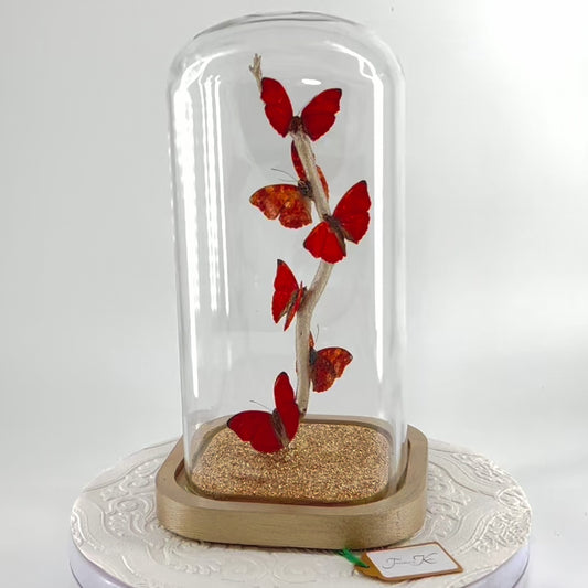 Small Centerpiece | Red Glider Butterfly | Red | Flutter by Katie | Sculpture Art | Butterfly Display | Africa