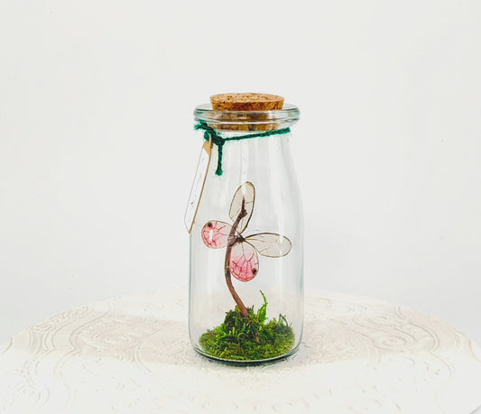 Accent Jar | Pink Glasswing | Pink | Tabletop Display