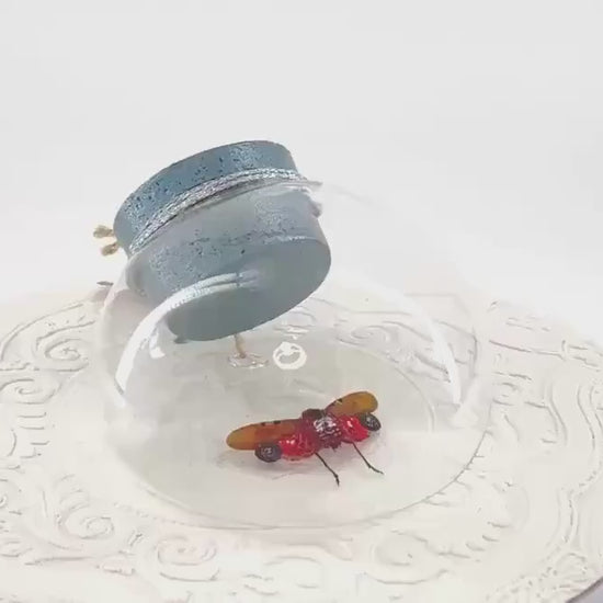 Droplet | Tabletop Wall Hanging | Spotted Lanternfly | Red Black | Flutter by Katie | Butterfly Sculpture Art Display | Glass Bubble | USA