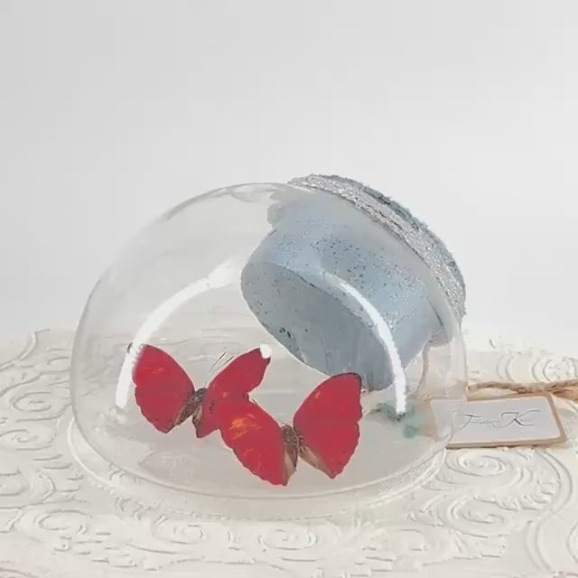 Droplet | Tabletop Wall Hanging | Double Red Glider | Africa | Flutter by Katie | Butterfly Sculpture Art | Butterfly Display | Glass Bubble