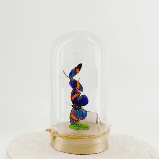 Large Pendant | Double Blue Lights | Blue Yellow | Flutter by Katie | Butterfly Sculpture Art | Handmade | Home Decor | Peru South America