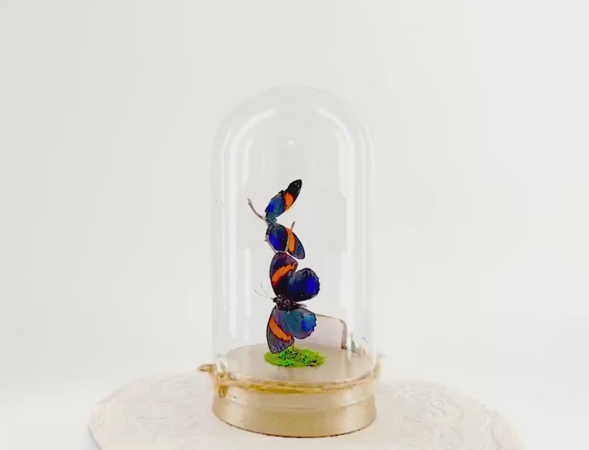 Large Pendant | Double Blue Lights | Blue Yellow | Flutter by Katie | Butterfly Sculpture Art | Handmade | Home Decor | Peru South America