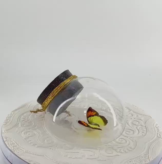 Droplet | Tabletop | Wall Hanging |Yellow Orange Tip | Flutter by Katie | Sculpture Art | Butterfly Display | Glass Bubble | Decor | SE Asia