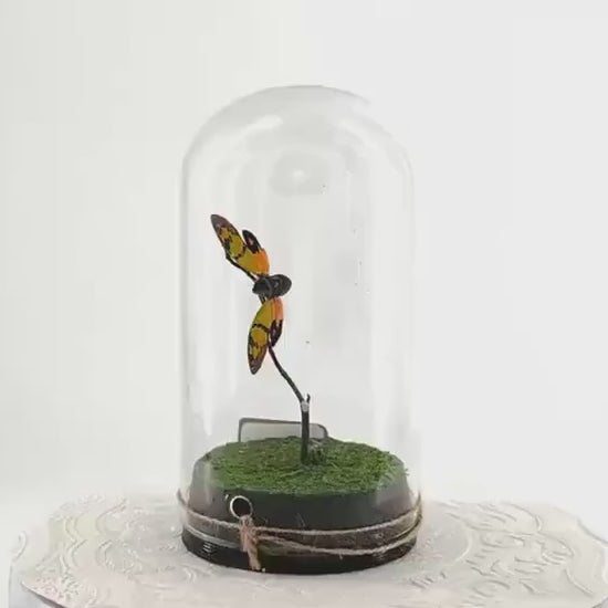 Large Pendant | Orange Cicada | Flutter by Katie | Butterfly Sculpture Art | Handmade | Butterfly Display Home Decor | Laos