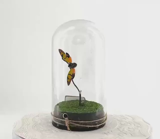Large Pendant | Orange Cicada | Flutter by Katie | Butterfly Sculpture Art | Handmade | Butterfly Display Home Decor | Laos