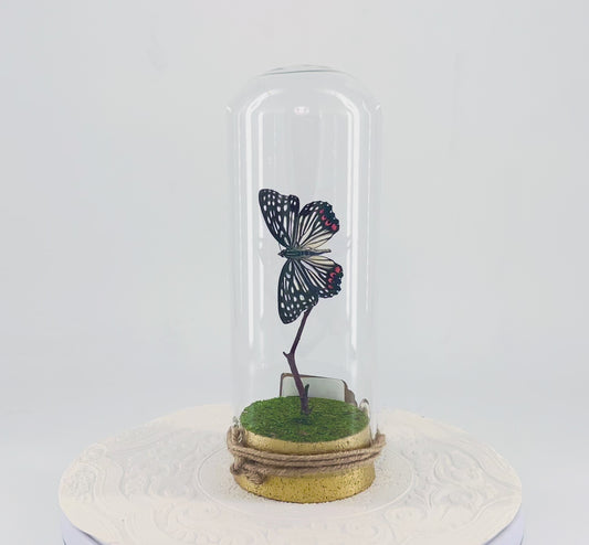 Pendant | Red Ring Skirt Butterfly | Black White w/ Pink Spots | Tabletop or Hanging Display