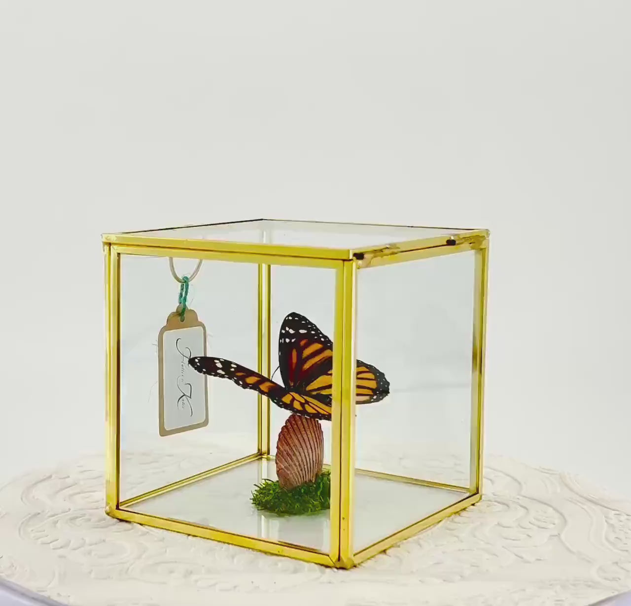 The Cube | Centerpiece | Monarch | Black Orange | Flutter by Katie Handmade Butterfly Sculpture Art | Home Decor | North America